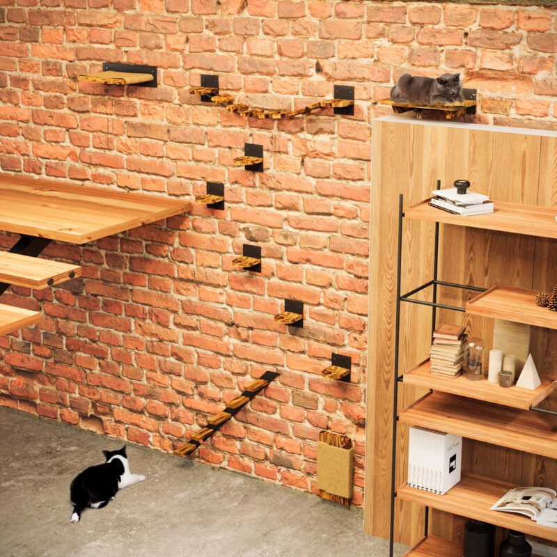 QLS Katzen Kletterwand Set Wandmontage